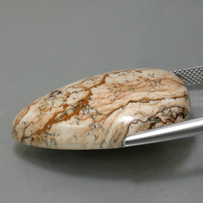 Jasper Gemstone in 31.6 x 23.4 mm Size for Sale, Jasper Stone in Multicolor Color