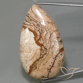 73.69 ct Pear Jasper, 43 x 25.7 mm From Indonesia, Photo A