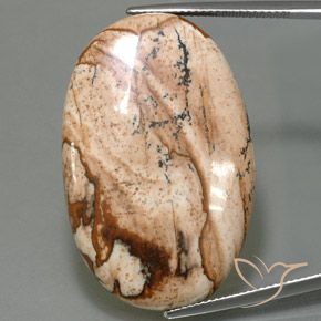 40.77ct Natural Multicolor Jasper, Oval, Opaque