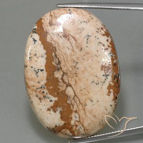 54.96ct Natural Multicolor Jasper, Oval, Opaque