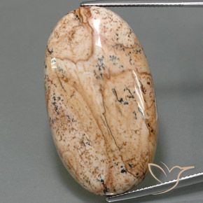 49.05ct Natural Multicolor Jasper, Oval, Opaque, Photo A
