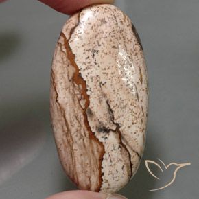 جاسبر بيضاوي 55.96 قيراط ، <cite dir="ltr" lang="en">43.2 x 22.6</cite> مم من إندونيسيا, Photo A