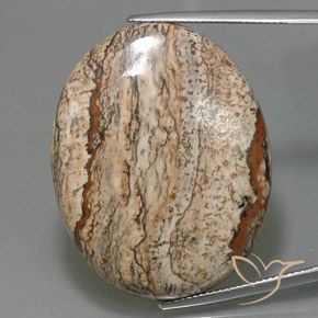 44.38ct Natural Multicolor Jasper, Oval, Opaque 44.38ct Natural Multicolor Jasper, Oval, Opaque