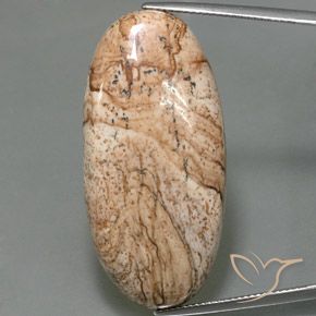 44.33ct Natural Multicolor Jasper, Oval, Opaque
