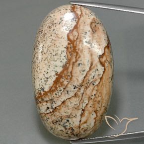 56.03ct Natural Multicolor Jasper, Oval, Opaque