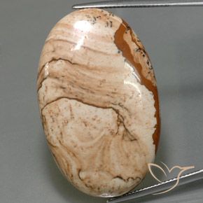 جاسبر بيضاوي 61.25 قيراط ، <cite dir="ltr" lang="en">39.6 x 25</cite> مم من إندونيسيا, Photo A