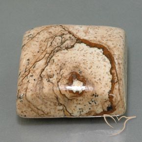52.73 ct Multicolor Jasper Stone, Natural Jasper in Square Cabochon Shape for Sale