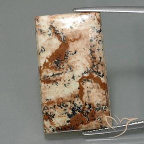 26.28ct Natural Multicolor Jasper, Baguette, Opaque