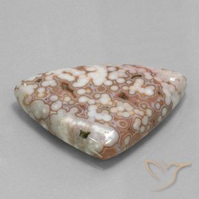 48.51 ct Multicolor Jasper Stone, Natural Jasper in Trillion Cabochon Shape for Sale
