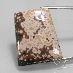 65.30ct Natural Multicolor Jasper, Fancy, Opaque