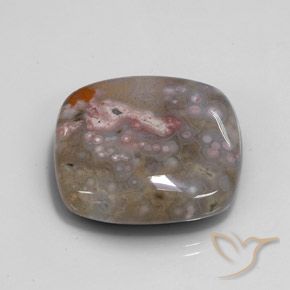 48.00 ct Multicolor Jasper Stone, Natural Jasper in Cushion Cabochon Shape for Sale