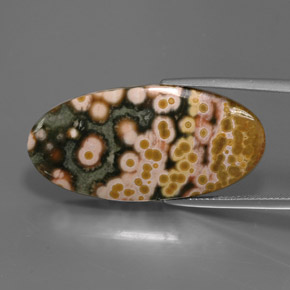 Multicolor Jasper Gem - 20.5ct Oval Cabochon (ID: 363170)