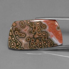 Mehrfarbig Jaspis Edelstein - 38.3ct Ausgefallener Cabochon (ID: 363272)