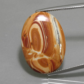 Многоцветный Яшма Камень - 12.5ct Овал Кабошон (ID: 363300)