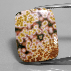 15.6ct Cushion Cabochon Multicolor Jasper Gem for sale 15.6ct Cushion Cabochon Multicolor Jasper Gem (ID: 363501)