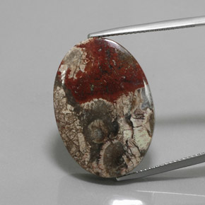 Многоцветный Яшма Камень - 20.1ct Овал Кабошон (ID: 363831)