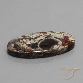 23.72 ct Multicolor Jasper Stone, Natural Jasper in Oval Cabochon Shape for Sale