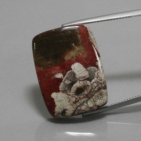 25.26 ct Multicolor Jasper Gemstone, Jasper Gem in Cushion Cabochon Shape for Sale.