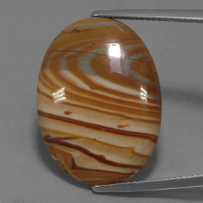 Multicolor Jasper Gem - 16.5ct Oval Cabochon (ID: 364009)