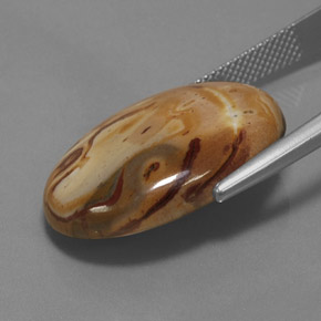 Jasper Gemstone in 25.2 x 18.2 mm Size for Sale, Jasper Stone in Multicolor Color