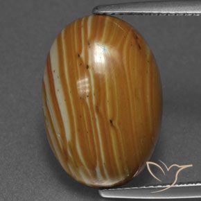 8.92ct Natural Multicolor Jasper, Oval, Opaque
