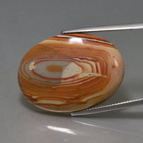 24.42 ct Multicolor Jasper Gemstone, Jasper Gem in Oval Cabochon Shape for Sale.