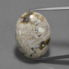 Mehrfarbig Jaspis Edelstein - 13.9ct Oval Cabochon (ID: 365612)