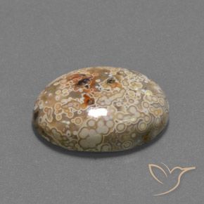 15.73 ct Multicolor Jasper Stone, Natural Jasper in Oval Cabochon Shape for Sale