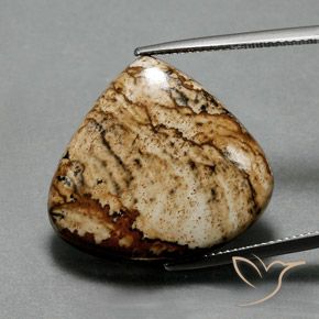 24.75ct Natural Multicolor Jasper, Pear Shape, Opaque