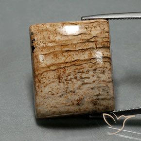 32.30ct Natural Multicolor Jasper, Baguette, Opaque