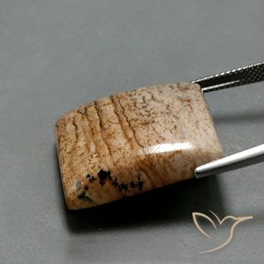 Jasper Gemstone in 23.6 x 20.1 mm Size for Sale, Jasper Stone in Multicolor Color