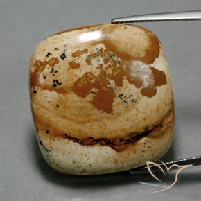 40.24ct Natural Multicolor Jasper, Cushion, Opaque