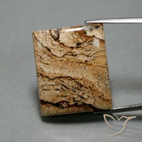 32.75ct Natural Multicolor Jasper, Baguette, Opaque