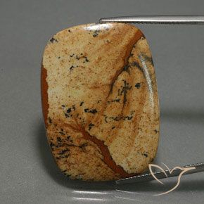 27.74ct Natural Multicolor Jasper, Cushion, Opaque