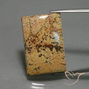 25.27ct Natural Multicolor Jasper, Baguette, Opaque