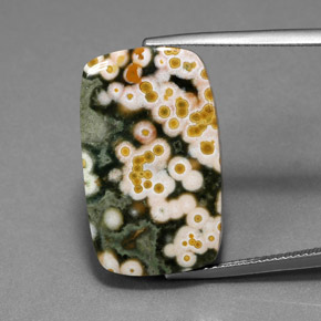 18.21 ct Multicolor Jasper Gemstone, Jasper Gem in Cushion Cabochon Shape for Sale.