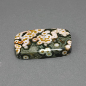 18.21 ct Multicolor Jasper Stone, Natural Jasper in Cushion Cabochon Shape for Sale