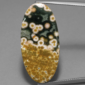 19.53 ct Multicolor Jasper Gemstone, Jasper Gem in Oval Cabochon Shape for Sale.