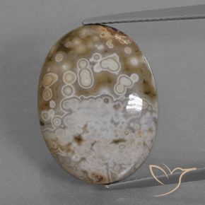12.72ct Natural Multicolor Jasper, Oval, Opaque