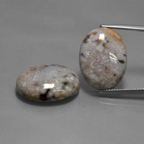 28.35 ctw Multicolor Jasper Gemstones, Jasper Gems in Oval Cabochon Shape for Sale.