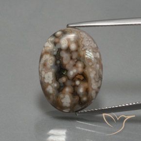 12.87ct Natural Multicolor Jasper, Oval, Opaque, Photo A