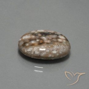 12.87 ct Multicolor Jasper Stone, Natural Jasper in Oval Cabochon Shape for Sale