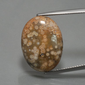 Многоцветный Яшма Камень - 14.4ct Овал Кабошон (ID: 370433)