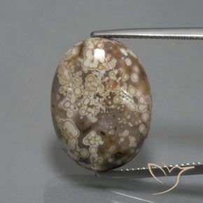14.73ct Natural Multicolor Jasper, Oval, Opaque