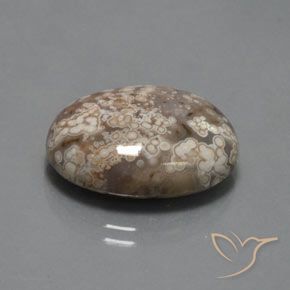 14.73 ct Multicolor Jasper Stone, Natural Jasper in Oval Cabochon Shape for Sale