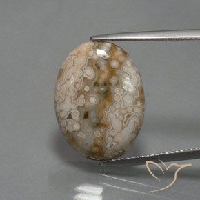 11.83ct Natural Multicolor Jasper, Oval, Opaque