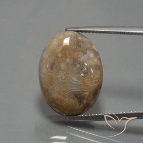 15.30ct Natural Multicolor Jasper, Oval, Opaque