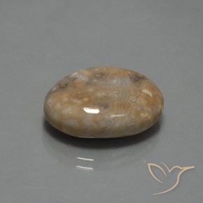 15.30 ct Multicolor Jasper Stone, Natural Jasper in Oval Cabochon Shape for Sale