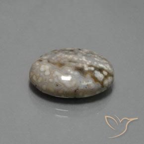 14.48 ct Multicolor Jasper Stone, Natural Jasper in Oval Cabochon Shape for Sale