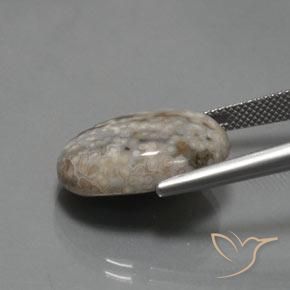 Jasper Gemstone in 20 x 15 mm (calibrated) Size for Sale, Jasper Stone in Multicolor Color